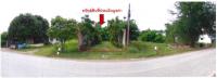 ขายที่ดินพร้อมสิ่งปลูกสร้าง