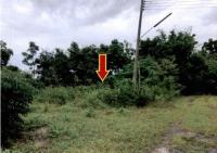 ขายที่ดิน